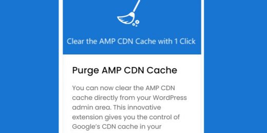 AMPforWP - Purge AMP CDN Cache WordPress Plugin