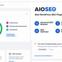 All In One SEO Pack Pro WordPress Plugin