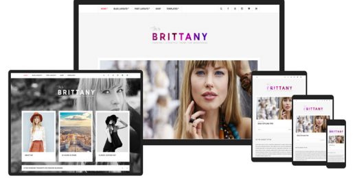 CSSIgniter - Brittany WordPress Theme