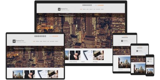 CSSIgniter - BusinessTwo WordPress Theme