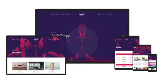 CSSIgniter - Vigour WordPress Theme
