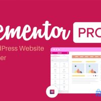 Elementor - Elementor Pro Pagebuilder WordPress Plugin