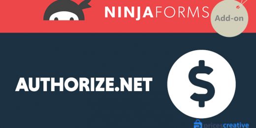 Saturday Drive - Ninja Forms Authorize