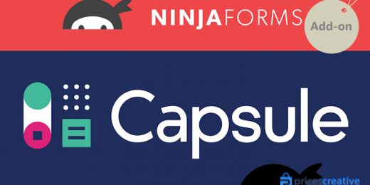 Saturday Drive - Ninja Forms Capsule CRM WordPress Plugin