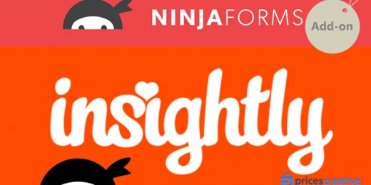 Saturday Drive - Ninja Forms Insightly CRM WordPress Plugin