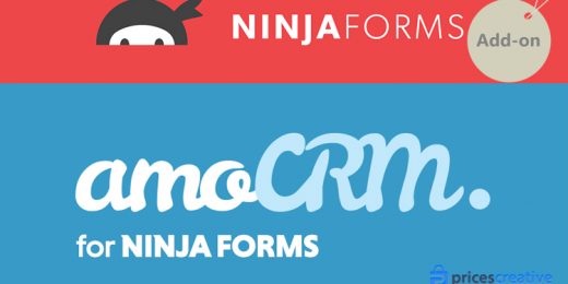 Saturday Drive - Ninja Forms amoCRM WordPress Plugin