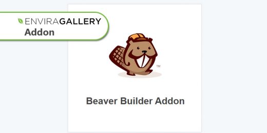 Envira Gallery - Beaver Builder Addon WordPress Plugin