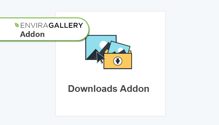 Envira Gallery Downloads Addon WordPress Plugin