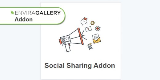 Envira Gallery - Social Addon WordPress Plugin