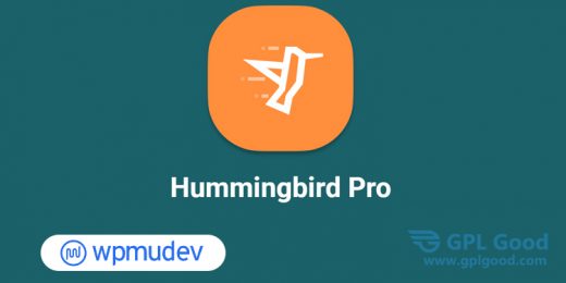 Hummingbird Pro WordPress Plugin Lates Updates
