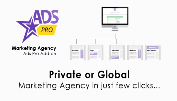 ADS PRO Marketing Agency Parser Addon WordPress Plugin