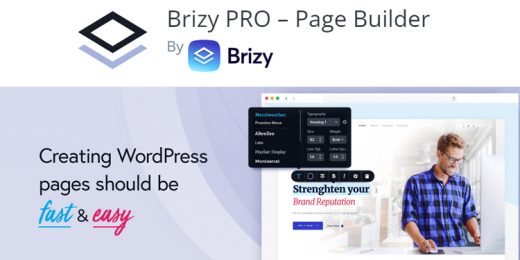 Brizy Pro Page Builder WordPress Plugin