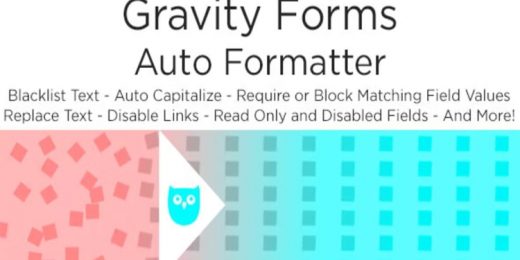 Plugin Owl - Gravity Forms Auto Formatter WordPress Plugin