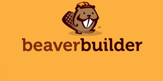 Beaver Builder Customizable WordPress Theme