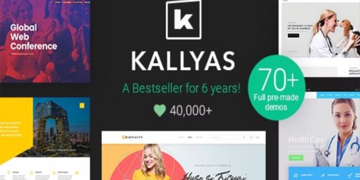 KALLYAS Creative eCommerce Multi-Purpose WordPress Theme