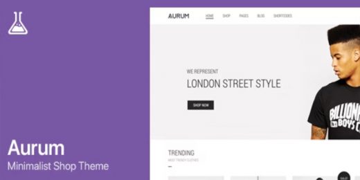 Aurum WordPress & WooCommerce Shopping Theme