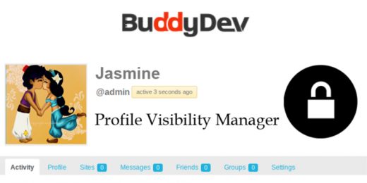 BuddyDev BuddyPress Profile Visibility Manager WordPress Plugin