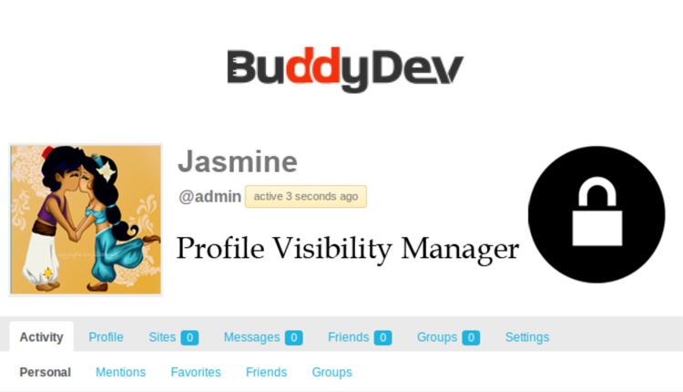 BuddyDev BuddyPress Profile Visibility Manager WP Plugin