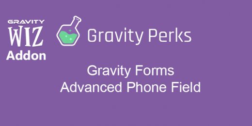 Gravity Wiz - Gravity Perks Advanced Phone Field WordPress Plugin