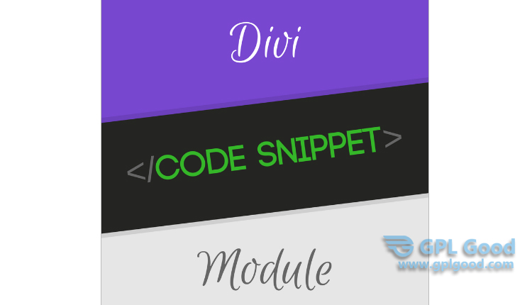 Divi Code Snippet Module WP Plugin by Divi Booster