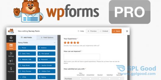 WPForms Pro WordPress Forms Builder Plugin