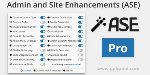 Admin and Site Enhancements (ASE) Pro WordPress Plugin