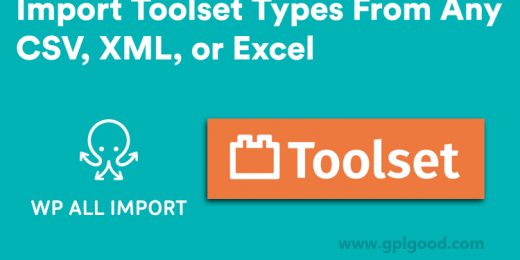 WP All Import Toolset Types Addon WordPress Plugin