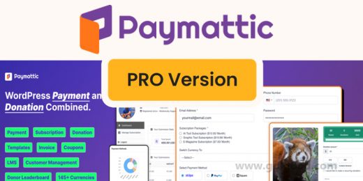 Paymattic Pro WordPress Plugin