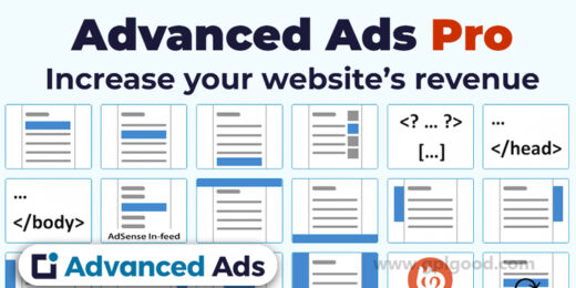 Advanced Ads Pro WordPress Plugin