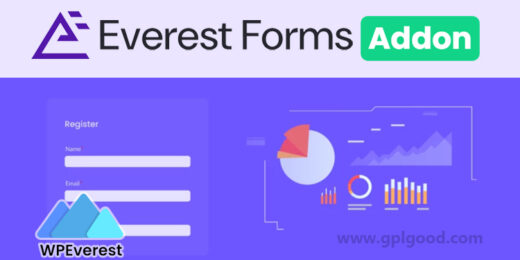 Everest Forms Advanced Form Analytics Addon