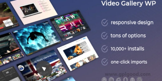 Video Gallery WordPress Plugin by ZoomIt