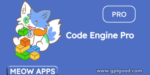Code Engine Pro WordPress Plugin