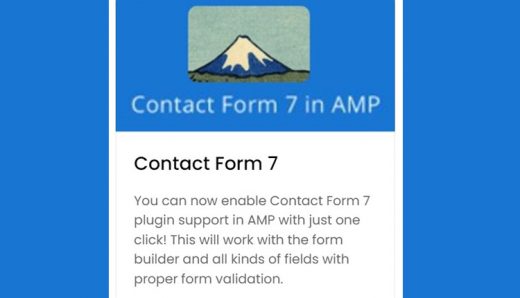 AMPforWP - Contact Form 7 for AMP WordPress Plugin