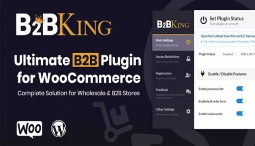 B2BKing The Ultimate WooCommerce B2B & Wholesale Plugin