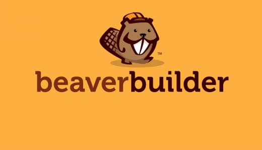 Beaver Builder Customizable WordPress Theme