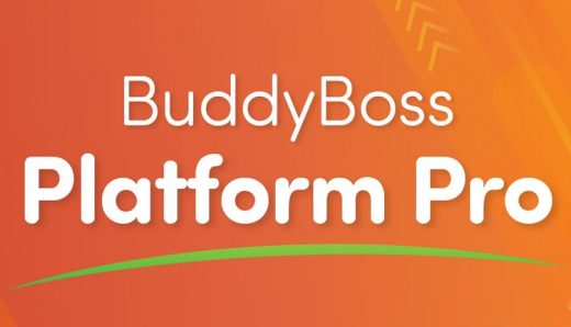 BuddyBoss - BuddyBoss Platform Pro WordPress Plugin