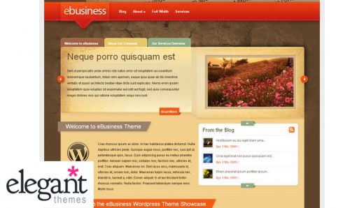 Elegant Themes - eBusiness Premium WordPress Theme