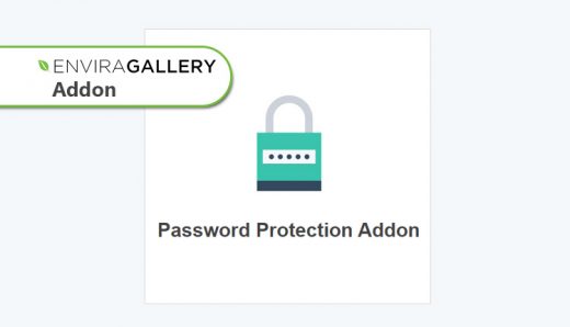 Envira Gallery - Password Protection Addon WordPress Plugin