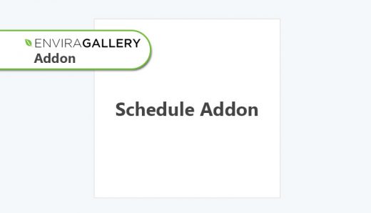 Envira Gallery - Schedule Addon WordPress Plugin