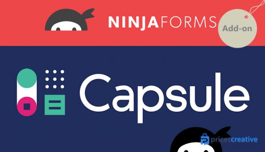 Saturday Drive - Ninja Forms Capsule CRM WordPress Plugin