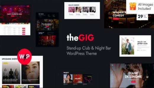The Gig Stand-up Club & Night Bar WordPress Theme